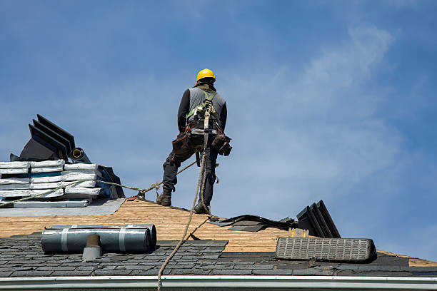 Professional Storm Damage Roof Repair technician working in Mapleton, MN